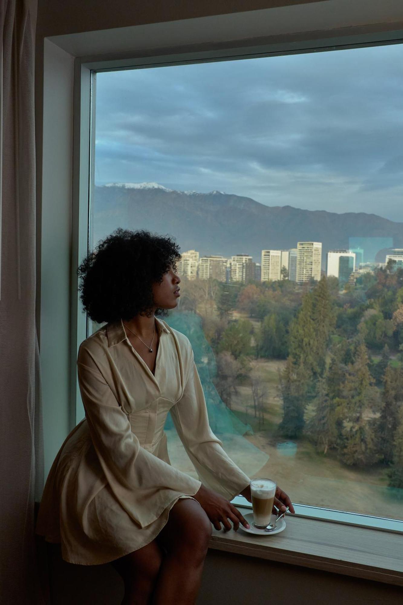Pullman Santiago Vitacura Eksteriør billede A woman with natural hair